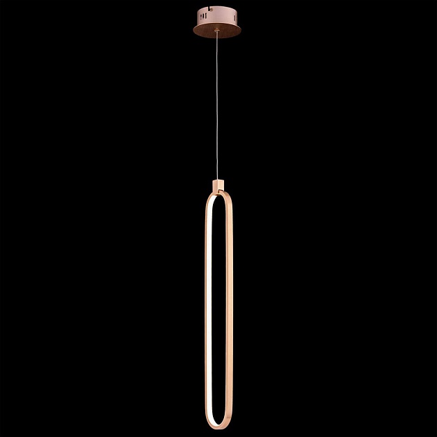 Подвесной светодиодный светильник Maytoni Chain MOD017PL-L13G Фото № 11