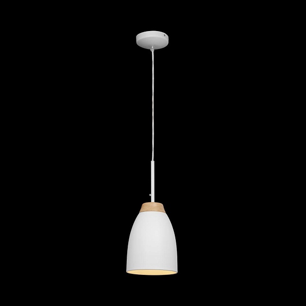Подвесной светильник Loft IT Watchman Loft4402A-Wh Фото № 2