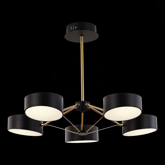 Потолочная светодиодная люстра Evoluce Valle SLE6005-402-05 изображение 5 Потолочная светодиодная люстра Evoluce Valle SLE6005-402-05 Фото № 5