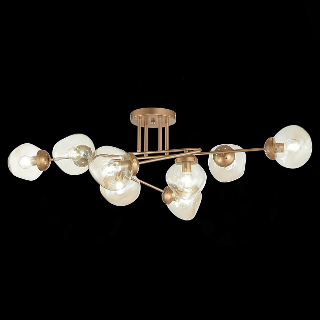 Потолочная люстра Evoluce More SLE155702-08 изображение 2 Потолочная люстра Evoluce More SLE155702-08 Фото № 2