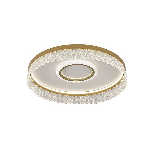 Потолочный светодиодный светильник F-Promo Lunetta 4186-2C изображение 2 Потолочный светодиодный светильник F-Promo Lunetta 4186-2C Фото № 2