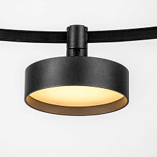 Трековый светодиодный светильник Lightstar Due 207437 3