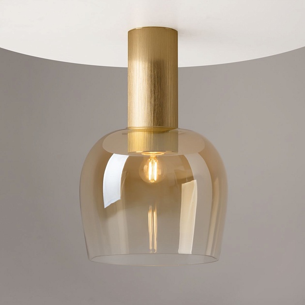 Потолочный светильник Maytoni Smart Casual MOD414CL-01G Фото № 4