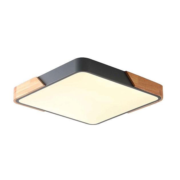 Потолочный светильник Zortes ALBERRO ZRS.01288.48 Фото № 1