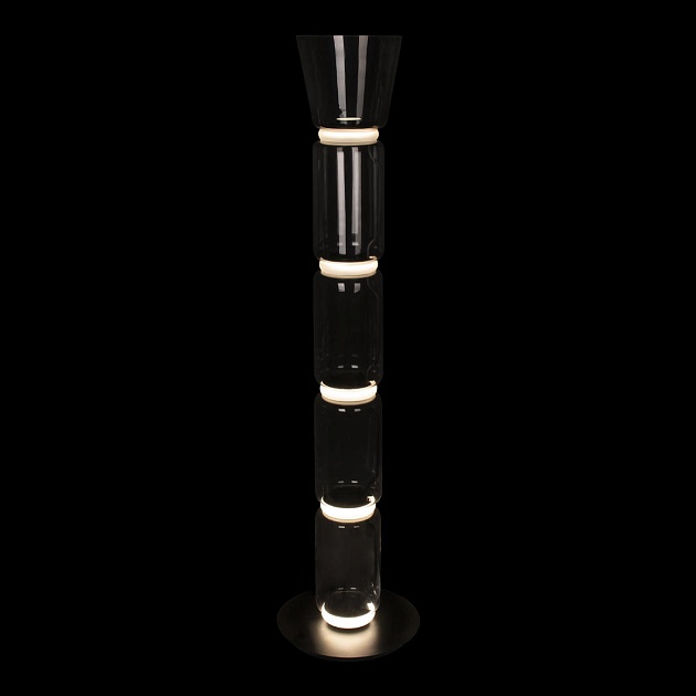 Торшер светодиодный Loft IT Noctambule 10193F/L Фото № 2