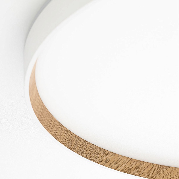 Потолочный светодиодный светильник Citilux Etalon CL750500R Фото № 9