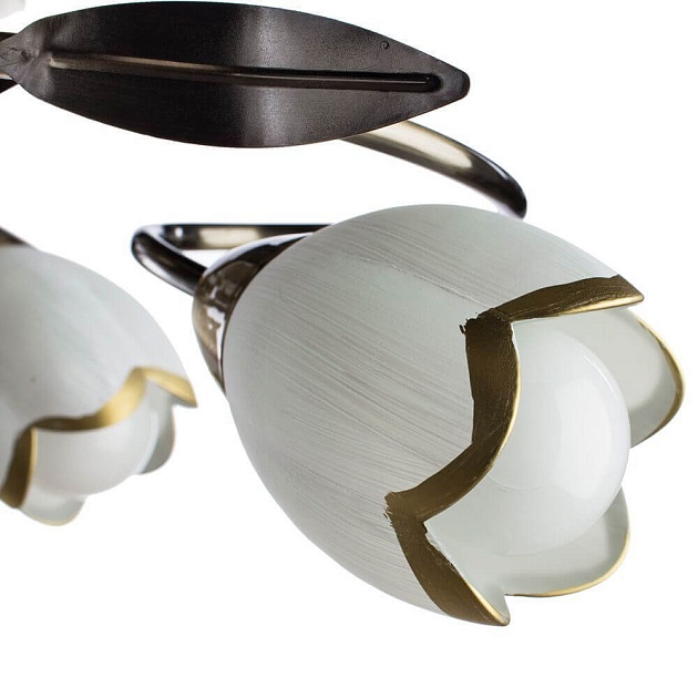Потолочная люстра Arte Lamp 4 A6061PL-6AB изображение 2 Потолочная люстра Arte Lamp 4 A6061PL-6AB Фото № 2