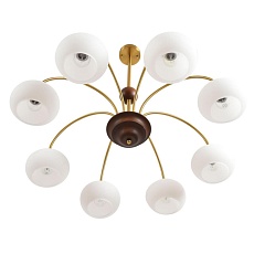 Люстра Lumion LARINA 8323/8C 3