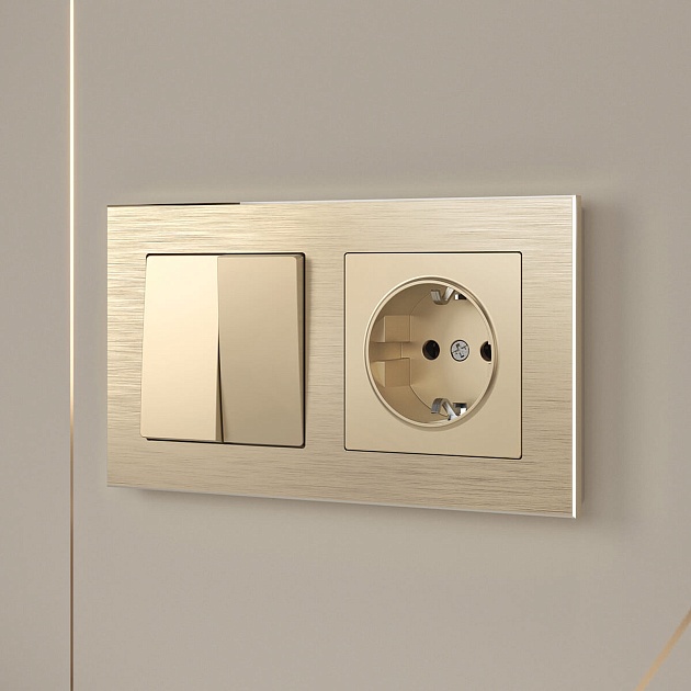 Розетка с заземлением Werkel шампань W1171011 4690389157363 Фото № 2