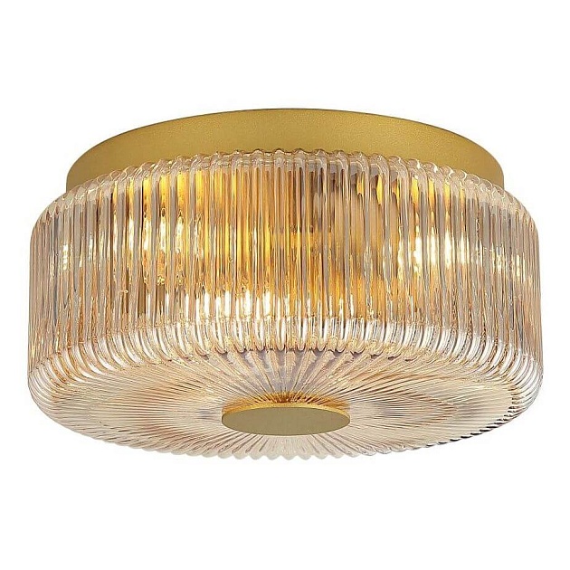 Потолочный светильник Stilfort Senza 2181/05/03CW Фото № 1