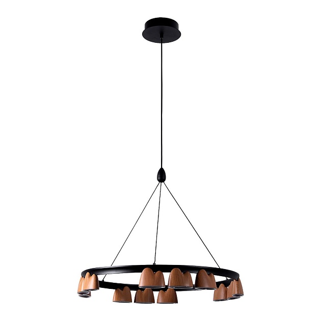 Подвесная светодиодная люстра Favourite Interline 4266-12P Фото № 3