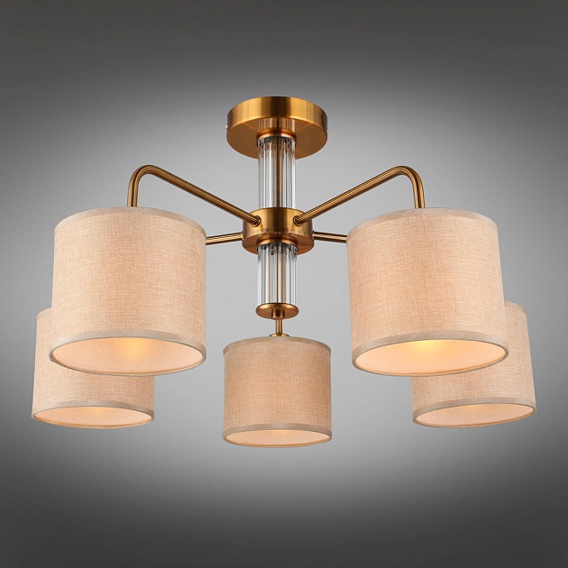 Потолочная люстра Omnilux Barumini OML-56907-05 изображение 8 Потолочная люстра Omnilux Barumini OML-56907-05 Фото № 8