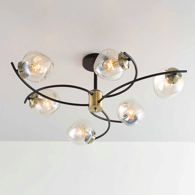 Потолочная люстра Citilux Фабула CL110165 Фото № 26