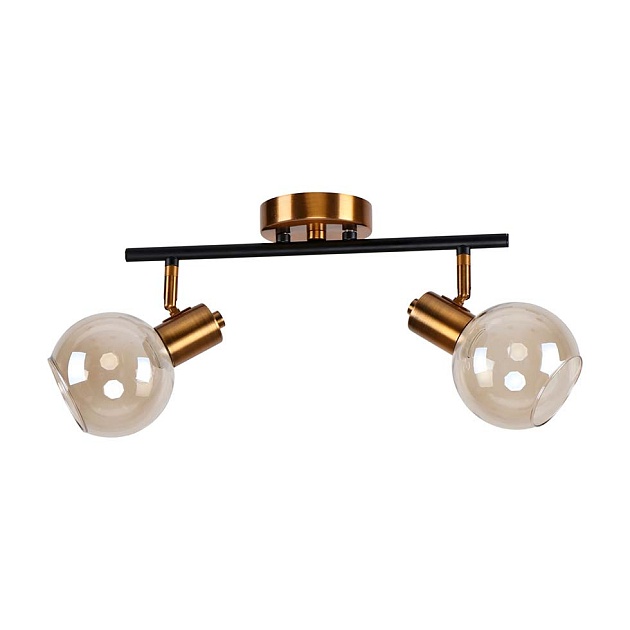 Спот ЭкономСвет 20783/2GD+BK BR Фото № 1