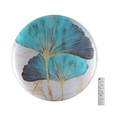 Настенно-потолочный светодиодный светильник Sonex Pale Floren 7747/DL 3