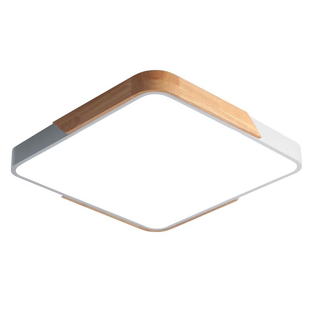 Потолочный светодиодный светильник Jazzway PPB Sсandic-S 5037298 Фото № 1