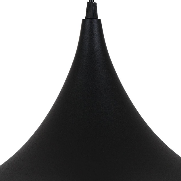 Подвесной светильник Arte Lamp Carmel A7080SP-1BK Фото № 2