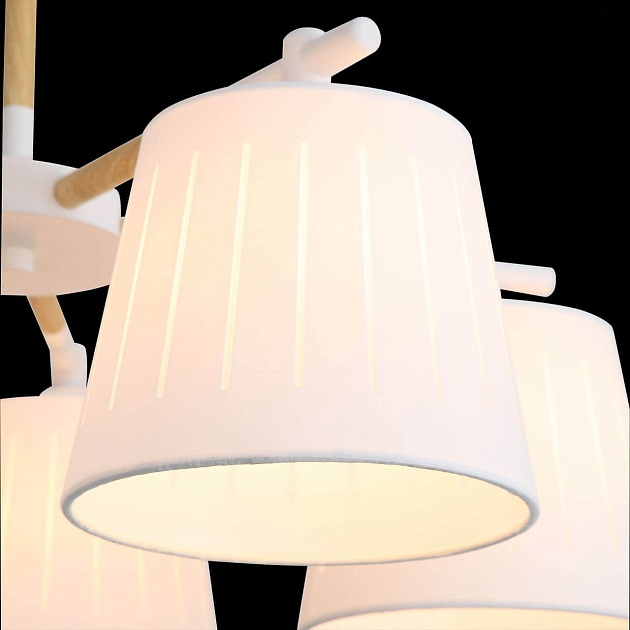 Потолочная люстра Evoluce Passeto SL375.502.05 изображение 2 Потолочная люстра Evoluce Passeto SL375.502.05 Фото № 2