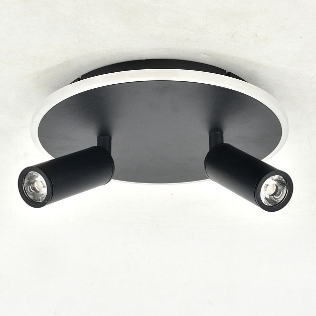 Потолочный светодиодный светильник Escada 20046SMA/02LED BK изображение 3 Потолочный светодиодный светильник Escada 20046SMA/02LED BK Фото № 3