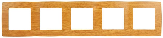 Рамка 5-постовая ЭРА 12 12-5005-07 Б0014787 Фото № 1