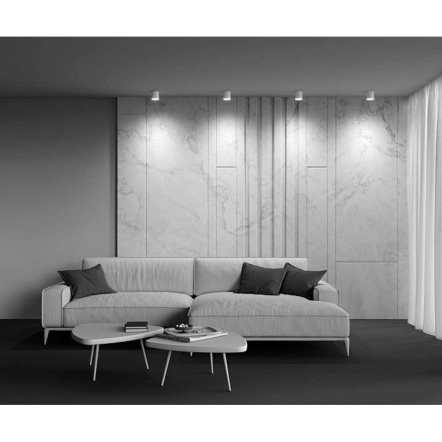 Потолочный светильник Maytoni Technical Polar C088CL-GX53-W Фото № 7