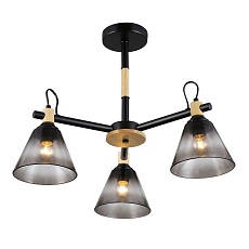 Потолочная люстра Rivoli Elmira 9117-303 Б0053431 1