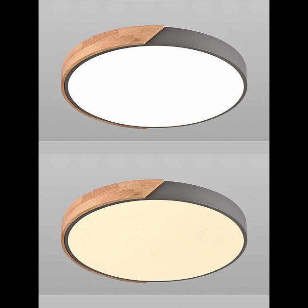 Потолочная люстра Natali Kovaltseva LED LAMPS 81183 изображение 3 Потолочная люстра Natali Kovaltseva LED LAMPS 81183 Фото № 3