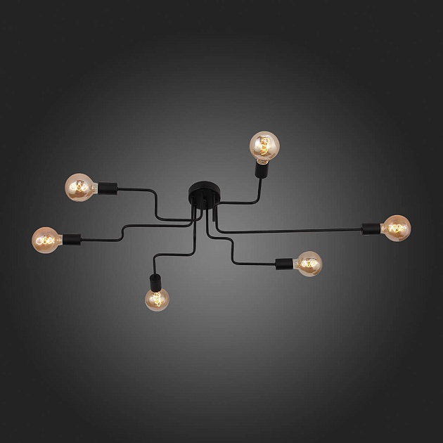 Потолочная люстра Evoluce Ano SL419.442.06 Фото № 14