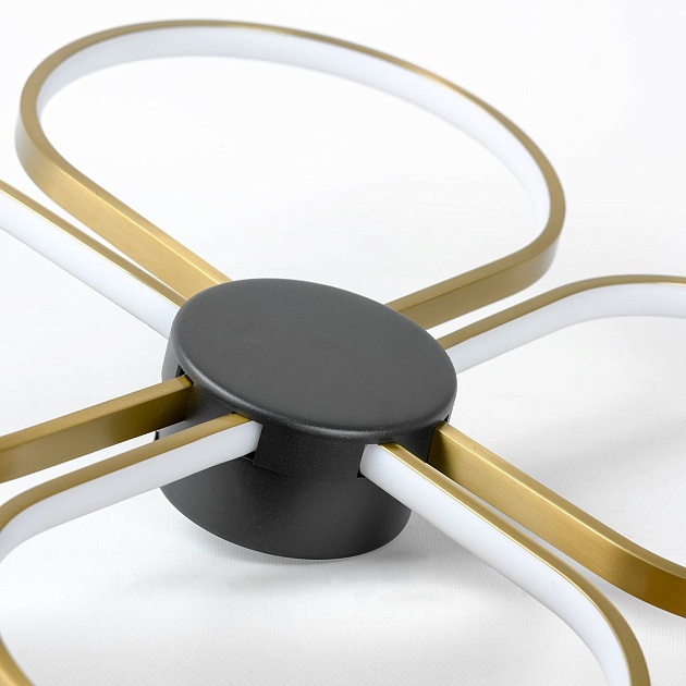 Потолочный светодиодный светильник Lussole Lowell LSP-7351 Фото № 4