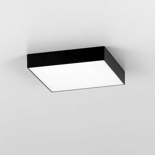 Накладной светодиодный светильник Citilux Тао CL712X242N Фото № 8