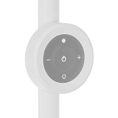 Торшер Citilux Loong CL810030 3