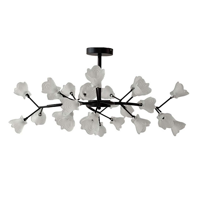 Потолочная люстра ЭкономСвет 11115/24BK WT изображение 1 Потолочная люстра ЭкономСвет 11115/24BK WT Фото № 1