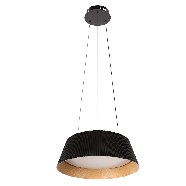 Подвесной светильник LOFT IT Evans 10224P Black Фото № 1