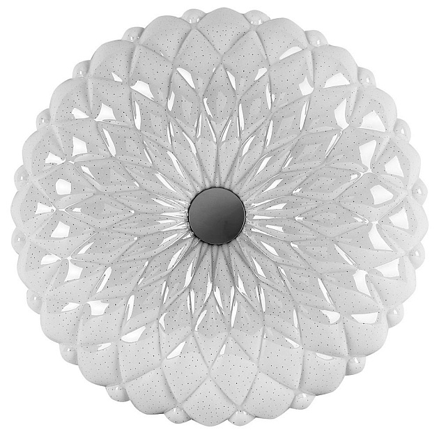 Настенно-потолочный светильник Camelion LBS-1005 13389 Фото № 1