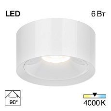 Потолочный светодиодный светильник Citilux Rover CL743060N