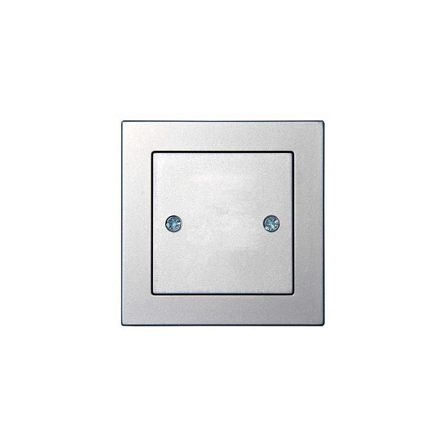 Заглушка Liregus Epsilon серебро 28-1852 Фото № 1