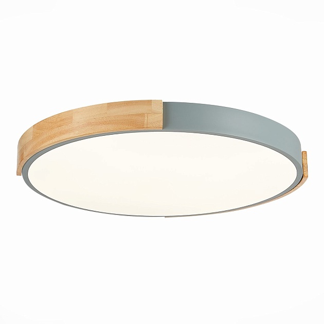 Потолочный сетодиодный светильник Evoluce Delia SLE201372-01 Фото № 2