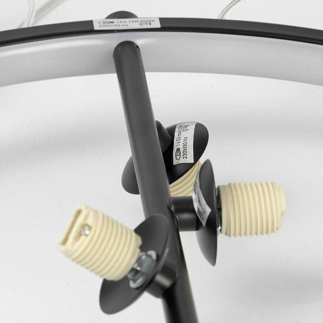 Подвесная люстра Lussole Loft Lancaster LSP-7089 Фото № 4