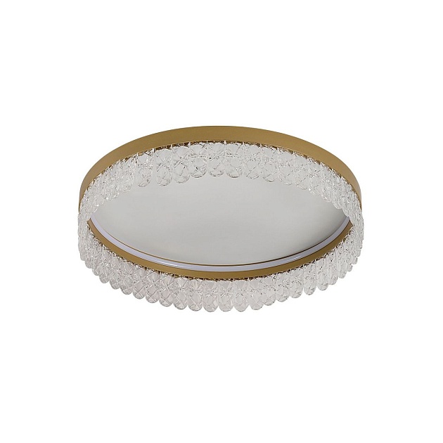 Потолочный светодиодный светильник F-Promo Lunetta 4186-1C изображение 1 Потолочный светодиодный светильник F-Promo Lunetta 4186-1C Фото № 1