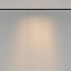 Трековый светильник Maytoni Technical TR175-1-12WTW-M-B 2