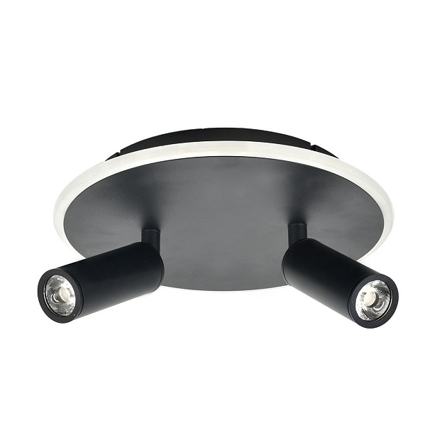 Потолочный светодиодный светильник Escada 20046SMA/02LED BK изображение 1 Потолочный светодиодный светильник Escada 20046SMA/02LED BK Фото № 1