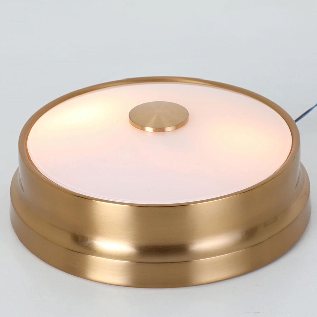 Потолочный светильник Favourite Pannikin 2375-2C Фото № 4