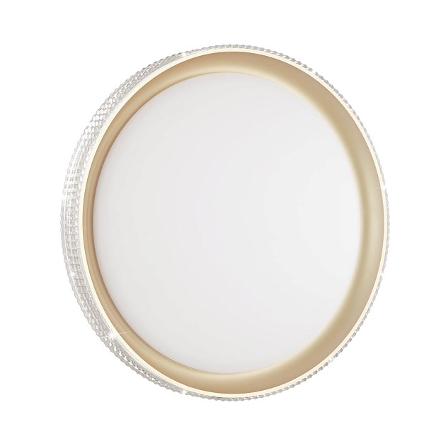 Настенно-потолочный светодиодный светильник Sonex Pale Shiny 3054/EL изображение 1 Настенно-потолочный светодиодный светильник Sonex Pale Shiny 3054/EL Фото № 1