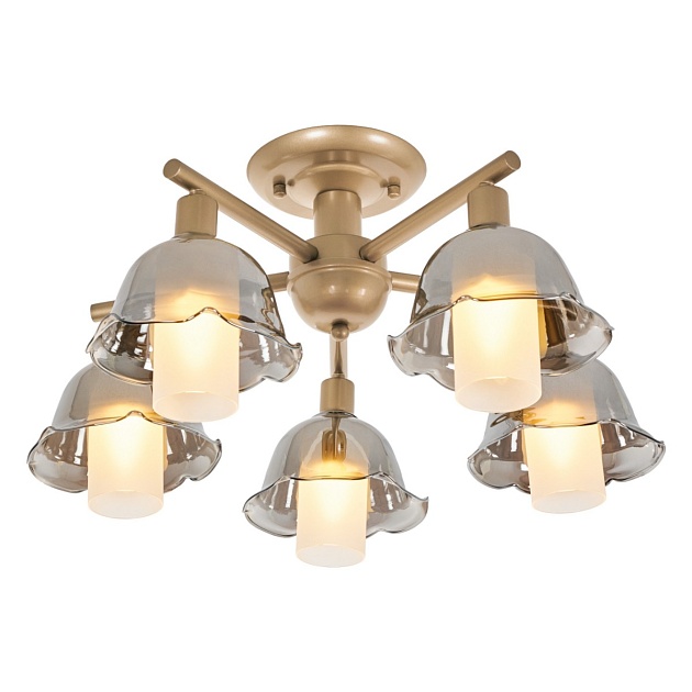 Потолочная люстра MyFar Lisa MR1481-5C Фото № 1