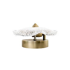 Настенный светильник Loft IT Bloom 10352W/A AB 4