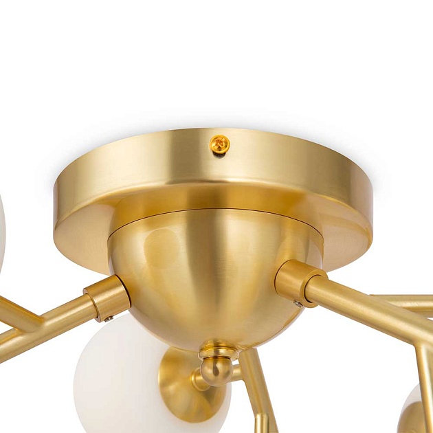 Потолочная люстра Maytoni Dallas MOD545CL-12BS Фото № 4