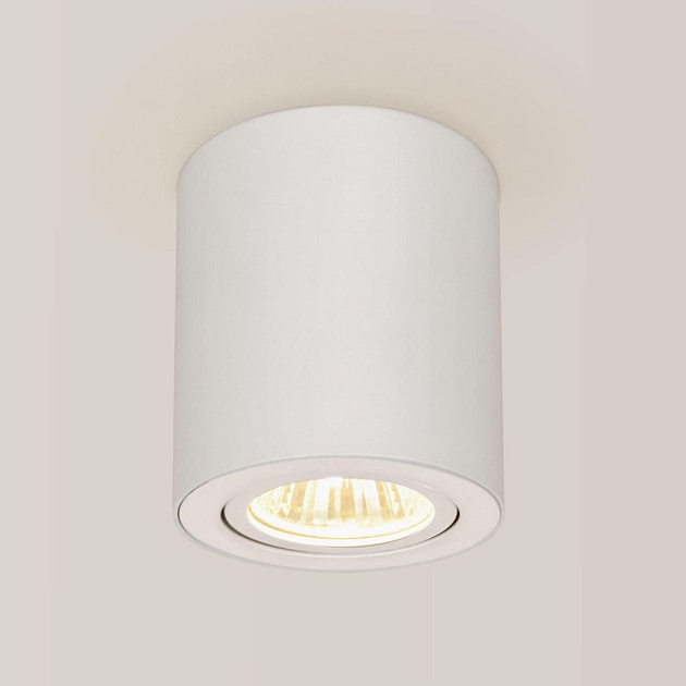 Потолочный светильник Citilux Дюрен CL538111 Фото № 1