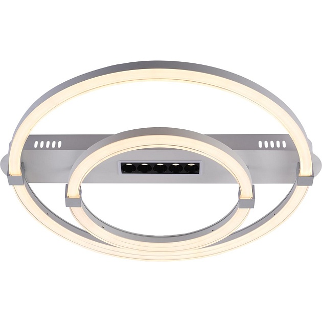 Потолочный светодиодный светильник Escada Aspect 10253/2LED Фото № 4