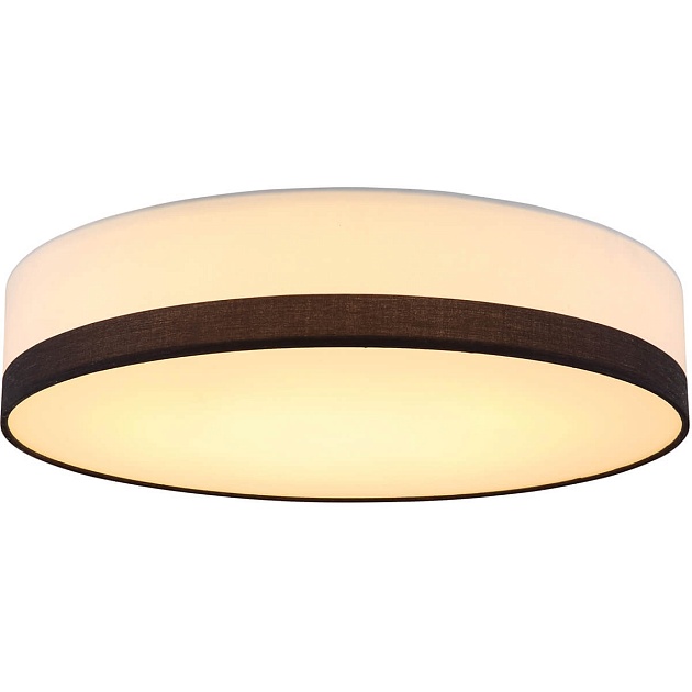 Потолочный светодиодный светильник Globo Maggy 15385D2 Фото № 1