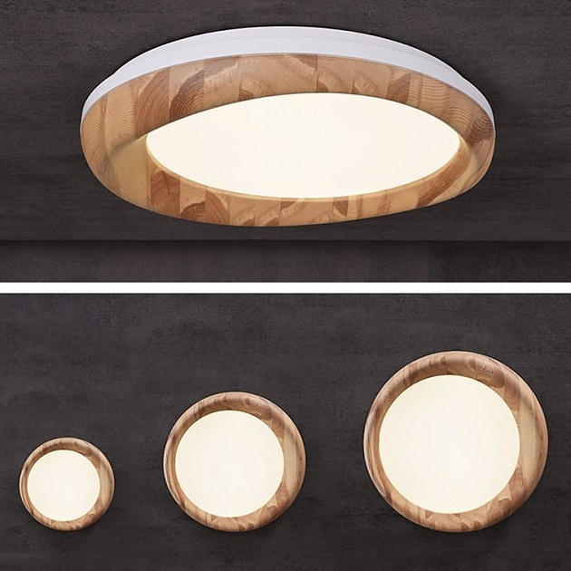 Потолочный светодиодный светильник Imperium Loft Runis 219474-26 изображение 3 Потолочный светодиодный светильник Imperium Loft Runis 219474-26 Фото № 3